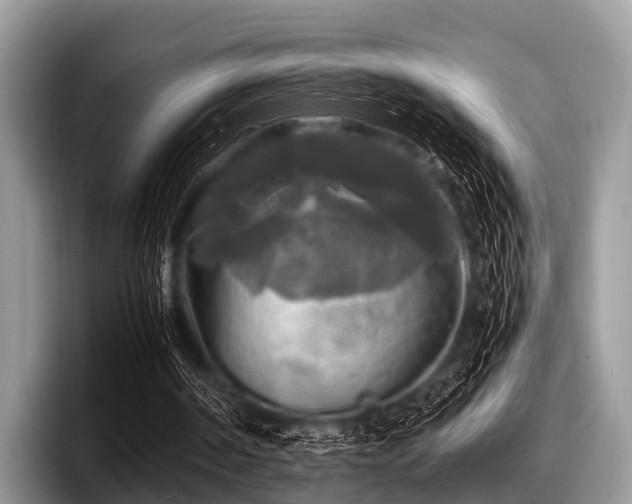 X0000097860194200803211301