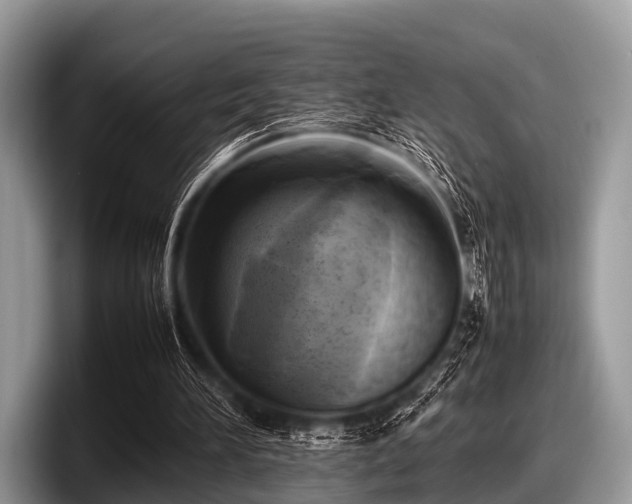 X0000097860196200803211301