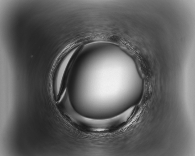 X0000097860197200803211301