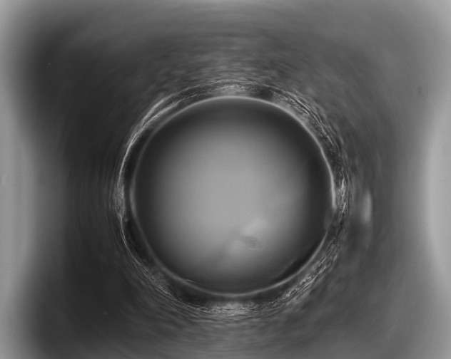 X0000097860198200803211301