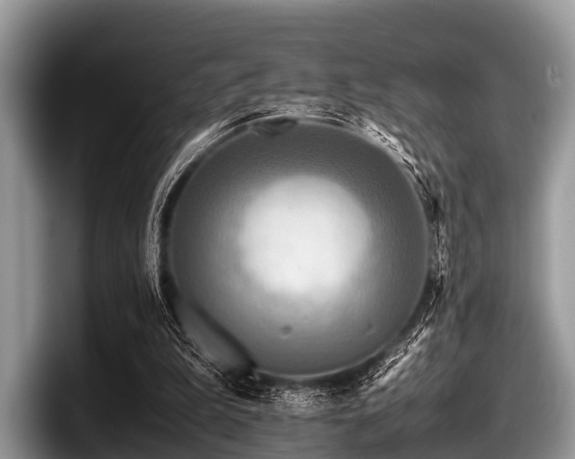 X0000097860199200803211301