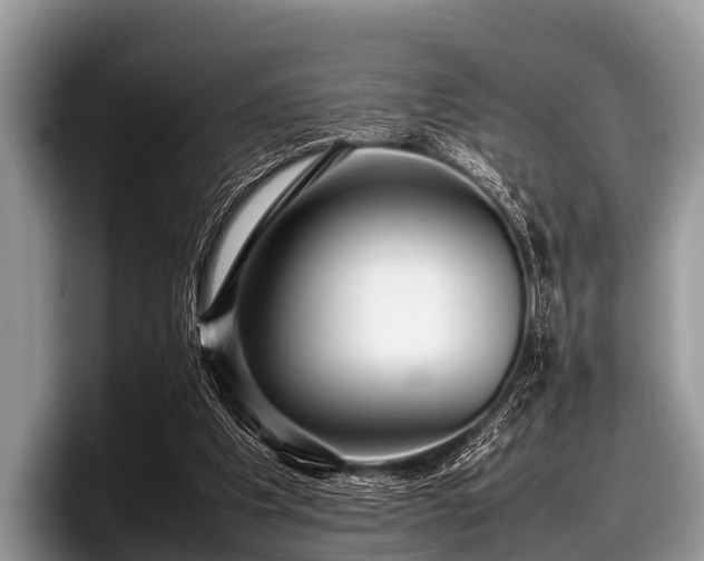 X0000097860201200803211301