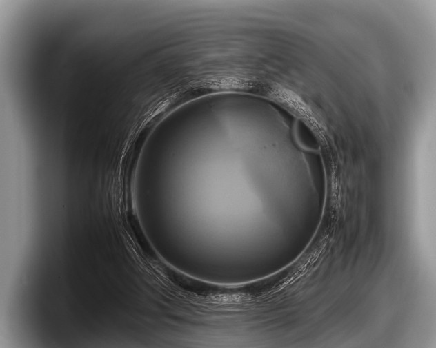 X0000097860202200803211301