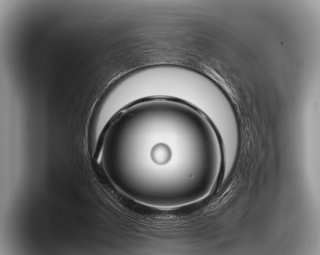 X0000097860203200803211301