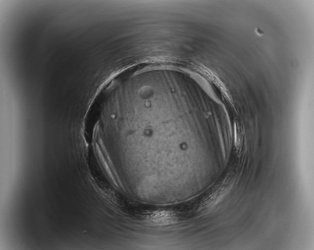 X0000097860204200803211301