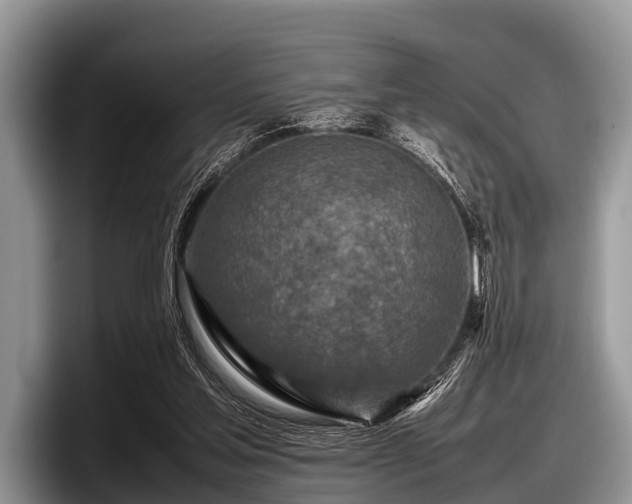 X0000097860205200803211301