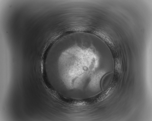 X0000097860206200803211301