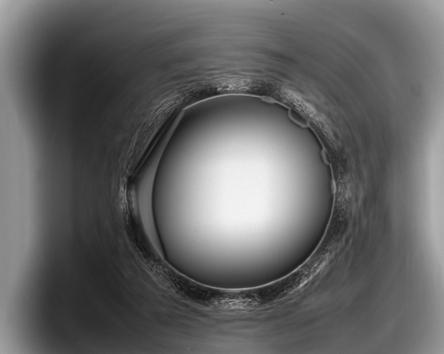 X0000097860209200803211301