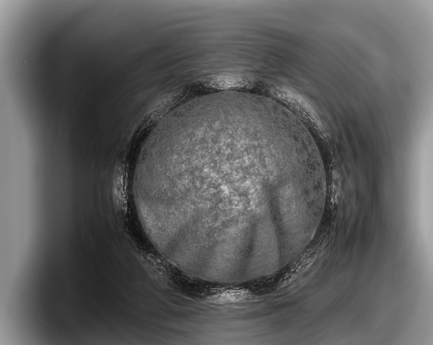 X0000097860210200803211301