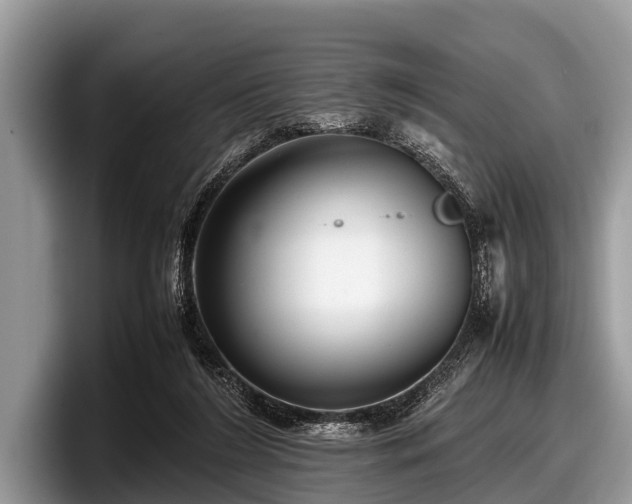 X0000097860212200803211301