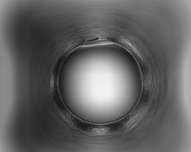 X0000097860213200803211301