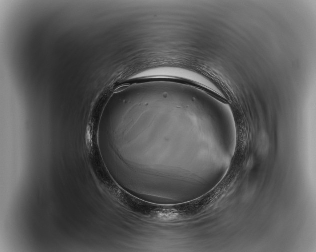 X0000097860214200803211301