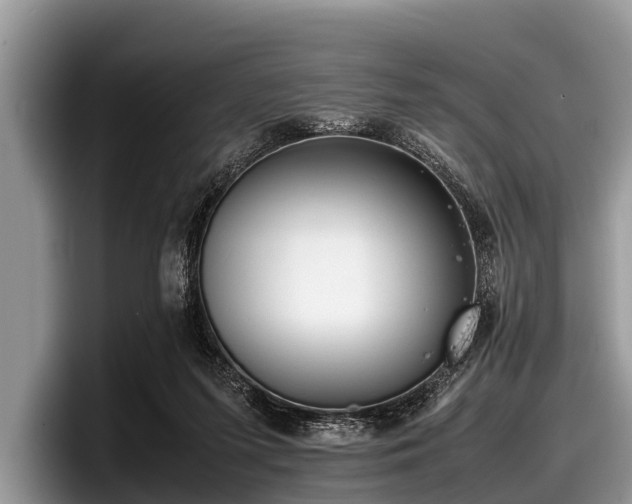 X0000097860215200803211301