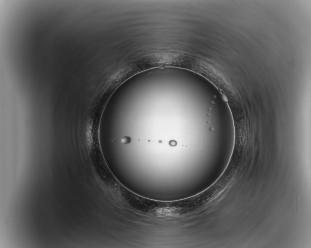 X0000097860216200803211301