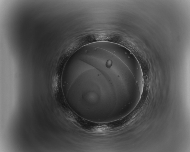 X0000097860219200803211301