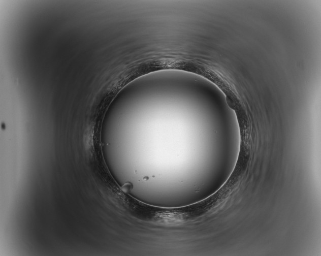 X0000097860221200803211301