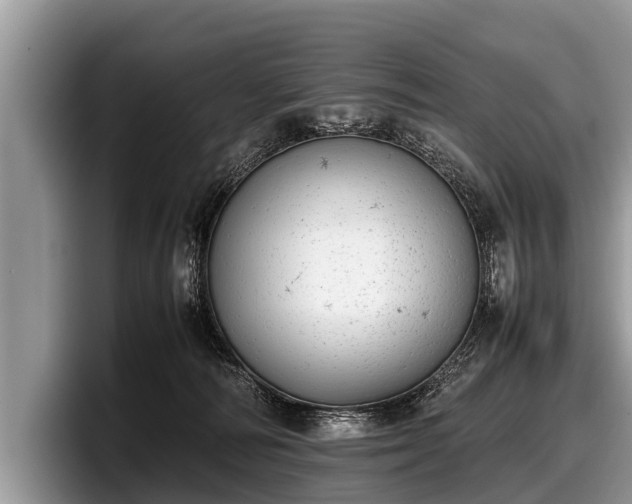 X0000097860226200803211300