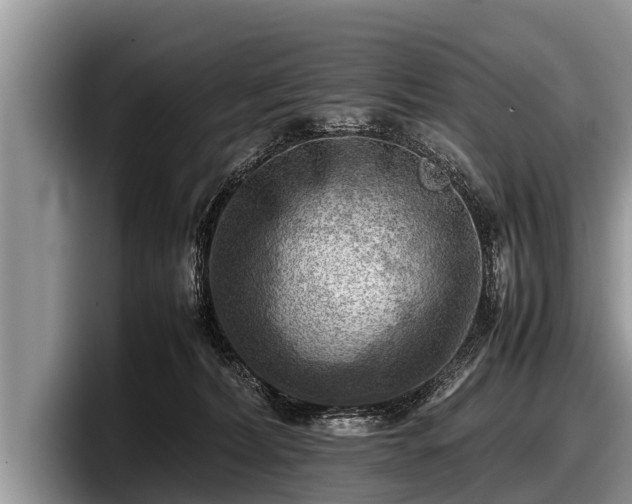 X0000097860228200803211300