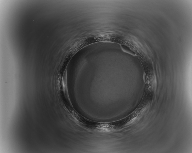 X0000097860231200803211300