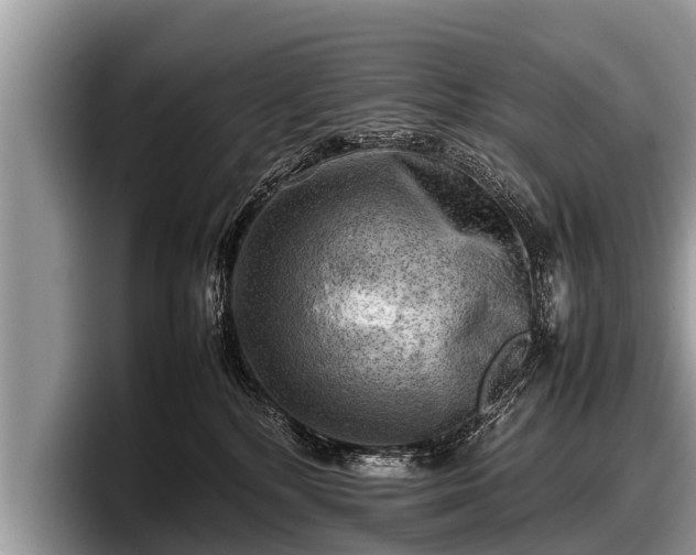 X0000097860232200803211300