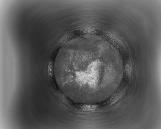 X0000097860234200803211300