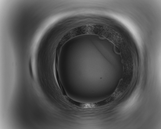 X0000097860239200803211300