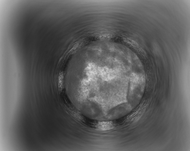 X0000097860240200803211300