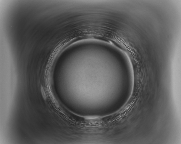 X0000097860241200803211300