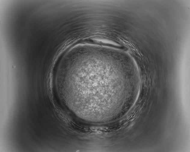 X0000097860242200803211300