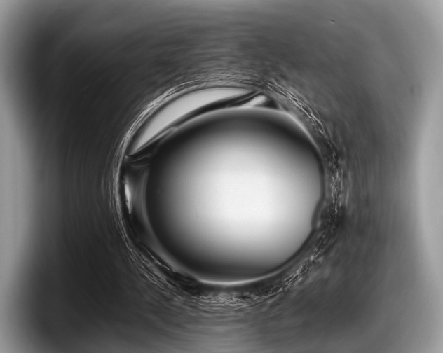 X0000097860244200803211300