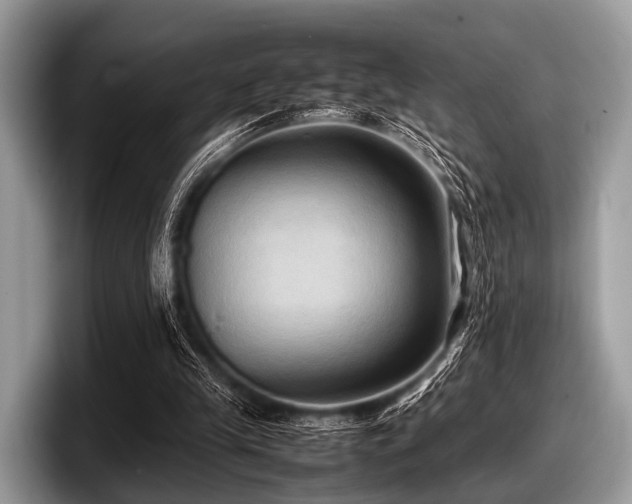 X0000097860245200803211300