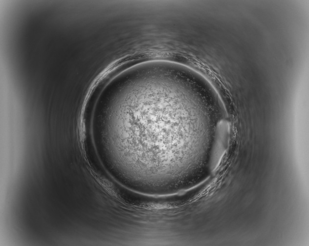 X0000097860246200803211300