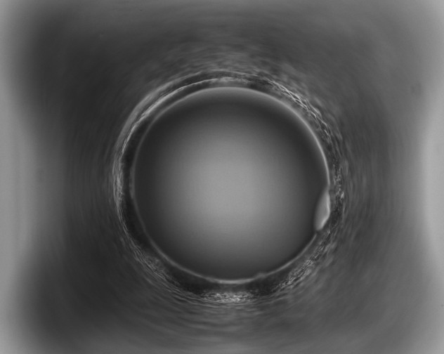 X0000097860247200803211300