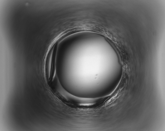 X0000097860248200803211300