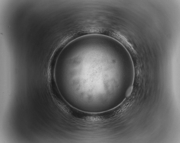 X0000097860250200803211300