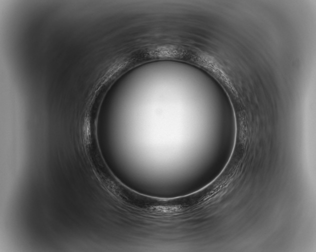 X0000097860251200803211300