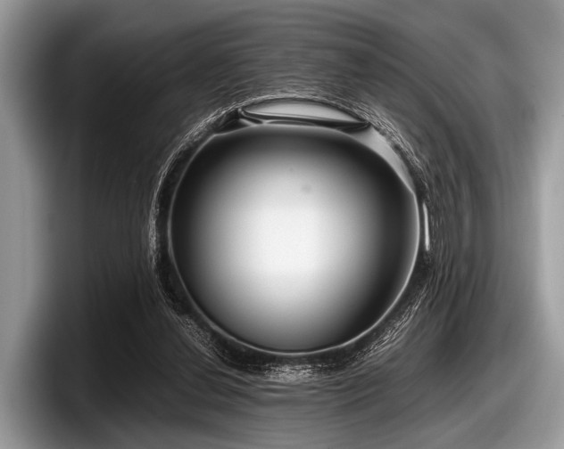 X0000097860252200803211300