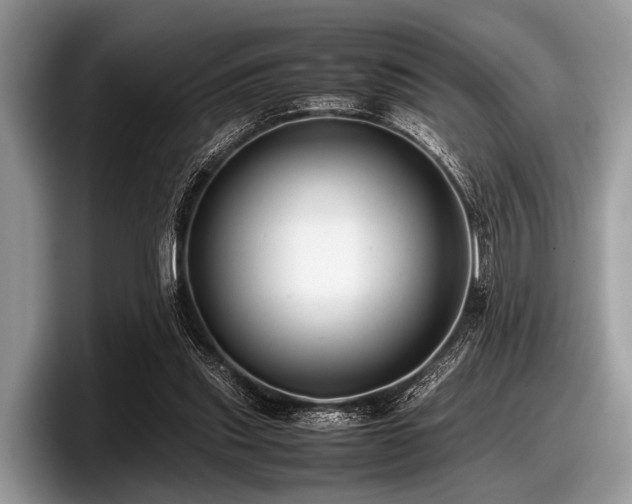 X0000097860253200803211300