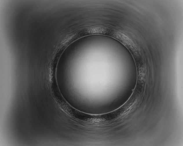 X0000097860255200803211300