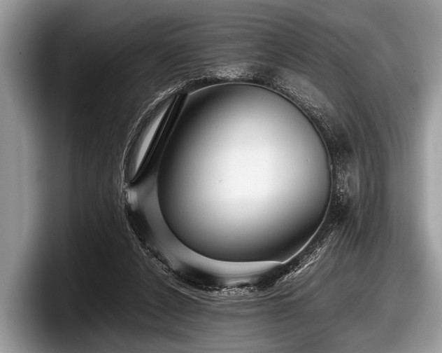 X0000097860256200803211300