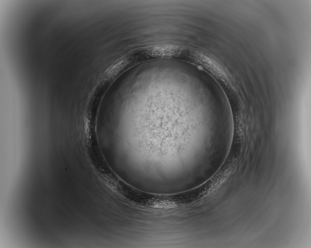 X0000097860258200803211300