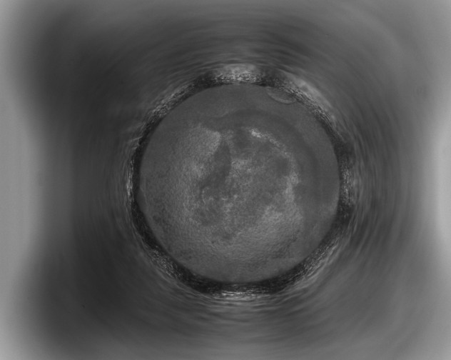 X0000097860259200803211300