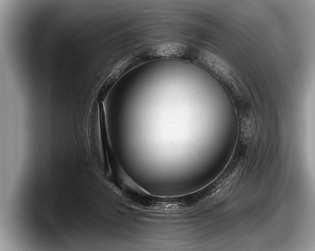 X0000097860260200803211300