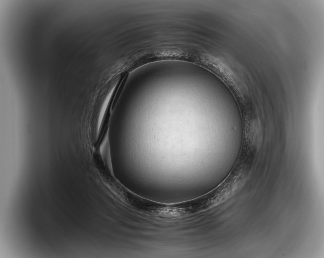 X0000097860261200803211300