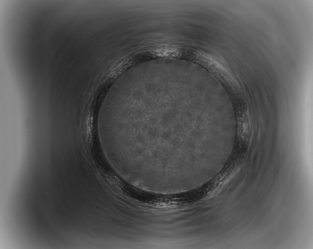 X0000097860263200803211300