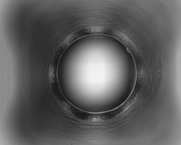 X0000097860264200803211300