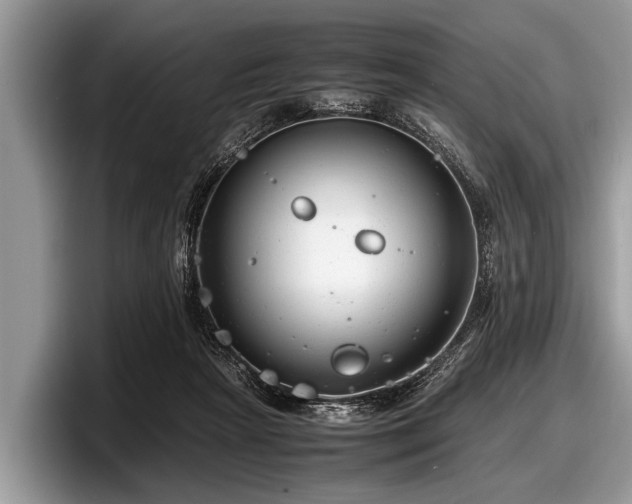 X0000097860265200803211300