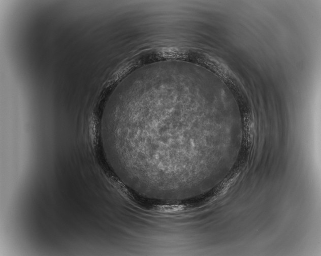 X0000097860266200803211300