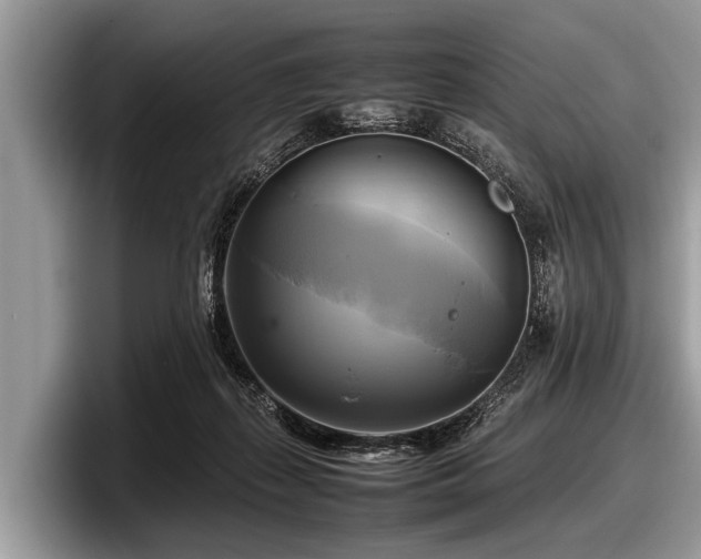 X0000097860267200803211300