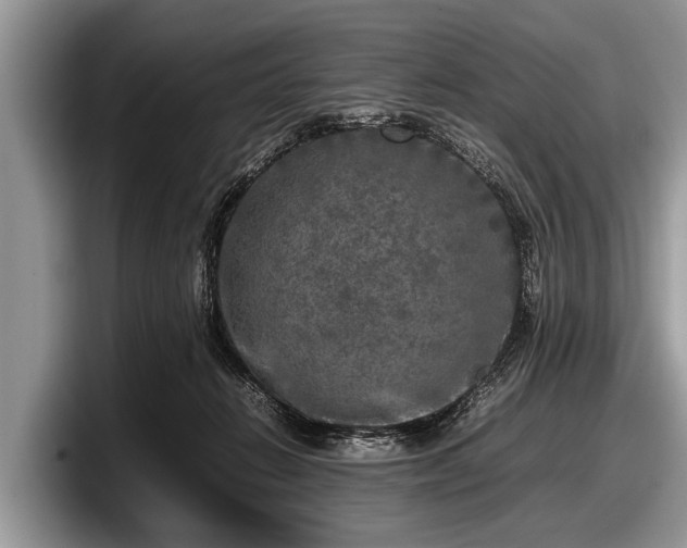 X0000097860270200803211300